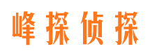 精河市私家侦探